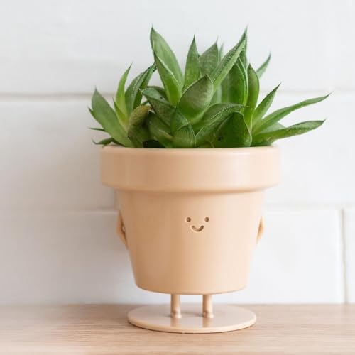 Standing Indoor Plant Pot, Unique Cute Plastic Flower Pot with Face, 3.5 Inch Succulent/Cactus Planter Gift with Drainage Hole, Decorative Novelty Planter (1 x Standing Pot) - Standing