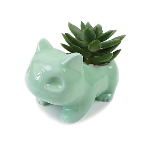 Kawaii Ceramic Frog Flowerpot Cute Succulent Planter Cute Green Plants Flower Pot with Hole