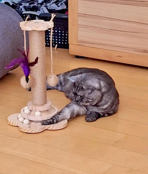 Rustic Cat Tower with Cat Scratcher Toy Modern Cat Furniture Wall Cat Shelves Gift for Cat Lovers Wooden Cat Turntable with Balls Cat Tree