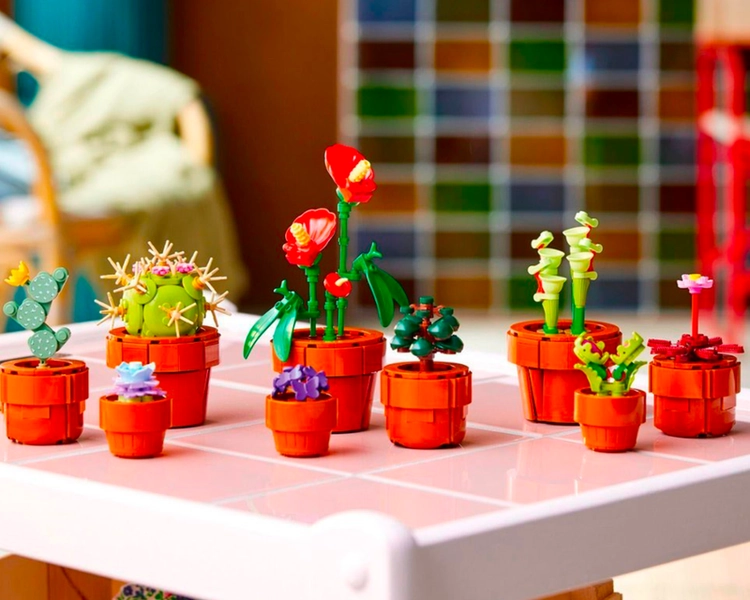 Icons Tiny Plants Build and Display Set