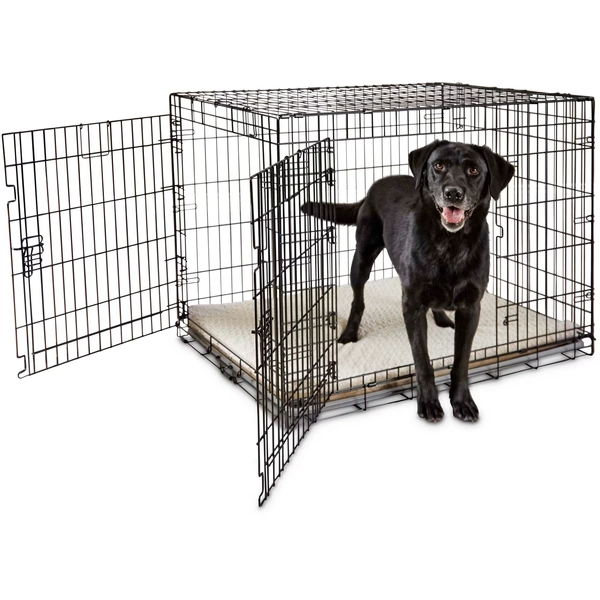 EveryYay Going Places 2-Door Folding Dog Crate, 43.2" L X 28.5" W X 30.7" H