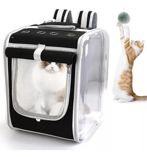 Pet carrier backpack