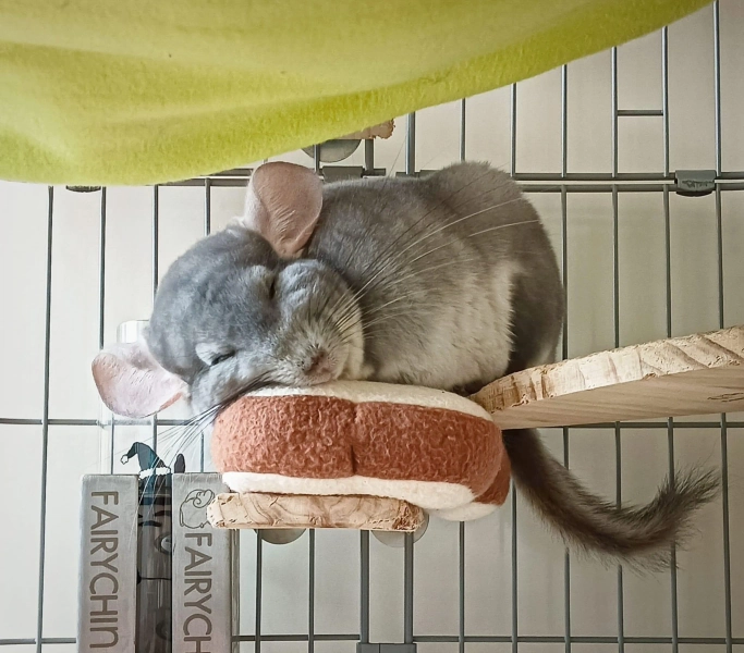 Cozy Bread Pillow for Small Pets - Anti-Pill Fleece Bedding