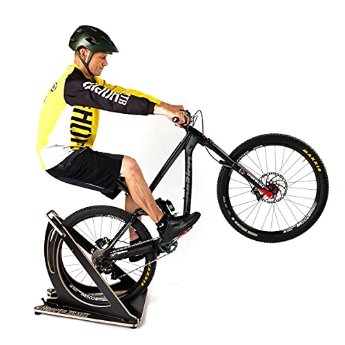 Mountain bike balance trainer