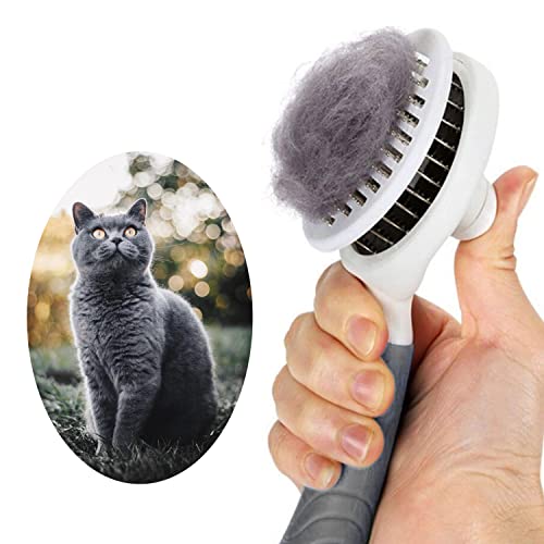 itPlus Grooming Brush, Self Cleaning Slicker Brush for Dogs Cats, Undercoat Removal, Grooming, Massage, Oval, Gray