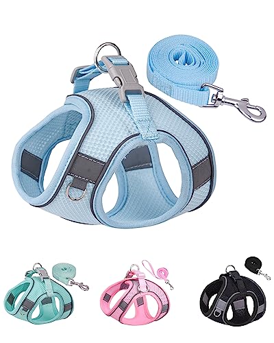 Solmoony Dog Harness for Small Medium Large Dogs No Pull, Puppy Harness and Leash Set, Puppy Harness for Small Dogs, Step in Harness for Small Dogs, Small Dog Harness, mesh Dog Harness. (Bule, S) - S - Bule