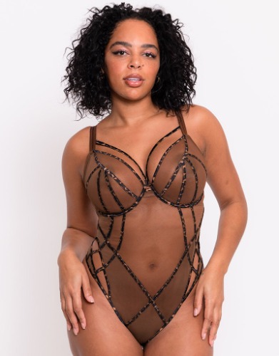 Scantilly Senses Plunge Bodysuit Leopard Brown | 40F