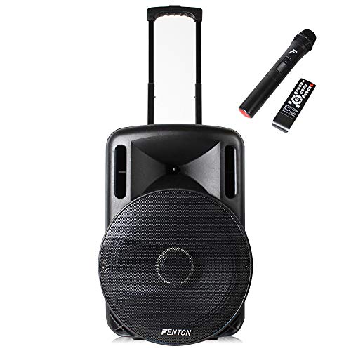 Portable DJ PA Speaker System 15" 800w Bluetooth Music Lights and Wireless Microphone Battery Powered - 15 inch Active Speaker FT15LED