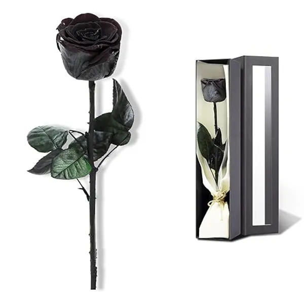 Christmas Rose Flower Gifts for Mom from Daughter and Son, Mom Gifts for Grandma, Birthday Gifts for Women, Preserved Rose, Preserved Flowers for Delivery Prime, Single Rose Real Rose - Black - 02-black - SingleRose
