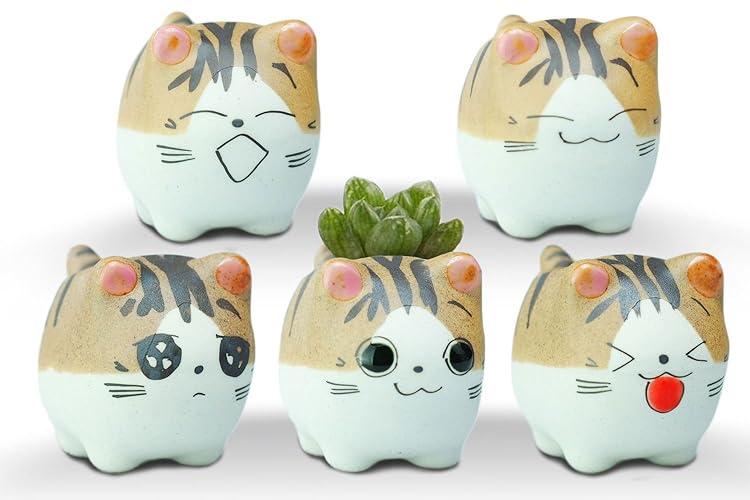 VanEnjoy Original Design Handmade Mini Cute Cartoon Ceramic Succulent Pots Planters Cat, with Drainage Hole, Flower pot, Ceramic Ornaments Cat Gifts for Cat Lovers Office - Pack of 5