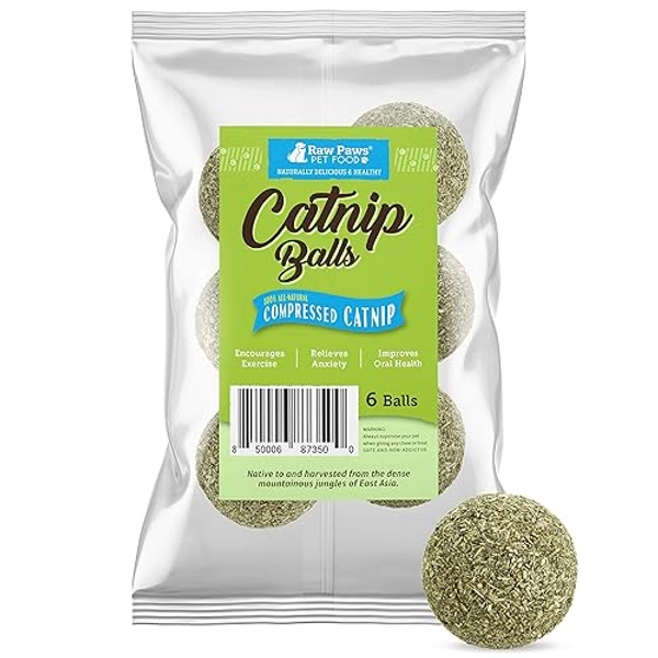 Raw Paws Catnip Balls for Cats, 6 (Pack) - Natural Catnip Ball Toy - Interactive Cat Toy for Indoor Cats - Cat Nip Balls - Catnip Licking Balls for Cats - Catnip Balls for Indoor Cats