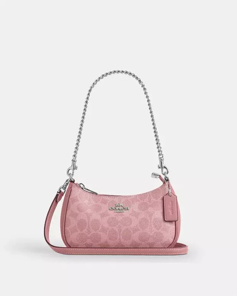 Silver Teri Mini Crossbody Bag In Signature Canvas