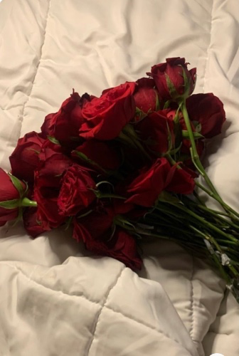 Red Roses 