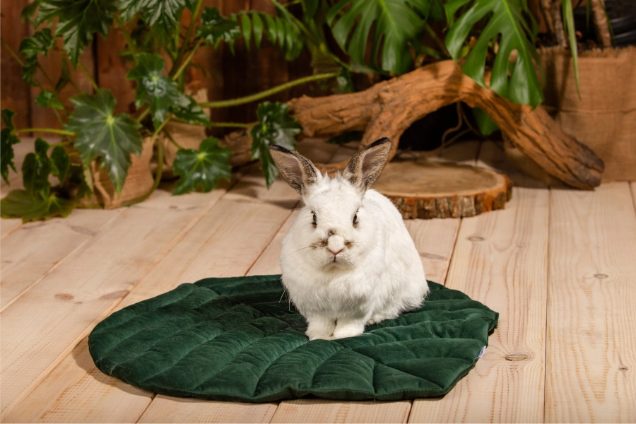 Leaf pillow for rabbit, guinea pig, ferrets and other small animals