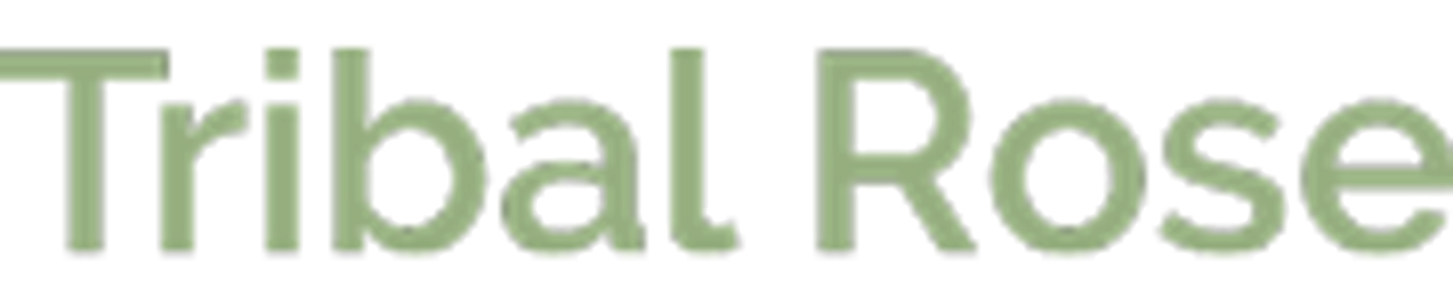 Daily Bouquet | Tribal Rose