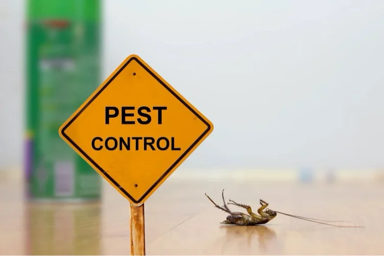 Pest control 