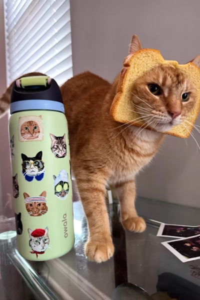 Owala UO Exclusive FreeSip 32 oz Water Bottle