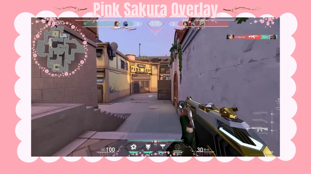 Valorant Sakura Stream Overlay