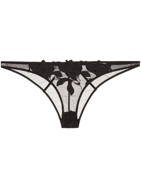 Lily embroidered cheeky