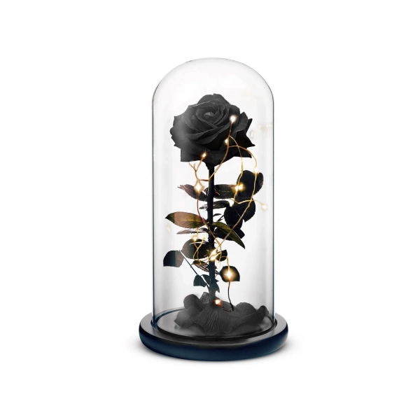 Beauty and The Beast Rose (Black)