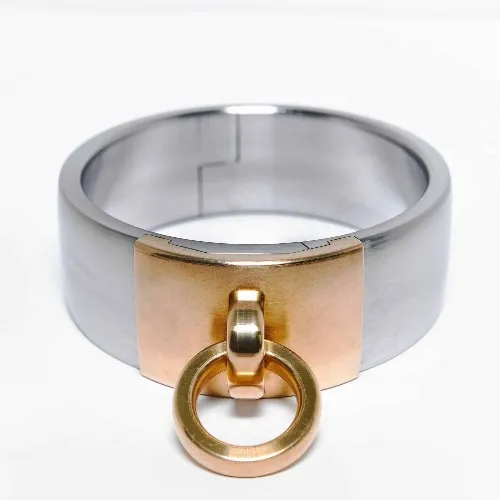 40mm Collar in Stainless Steel | Swedish Collar