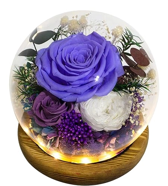 Valley of Rain & Forest Long-Lasting Real Flowers, Unique Floral Gift for You to Send Love for All Occasions, for Indoor Decoration (Violet Rose, Purple Rose, White Austin Rose)