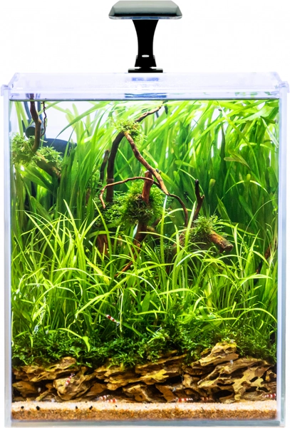 INVITAL Shrimp LED aquarium set 20l