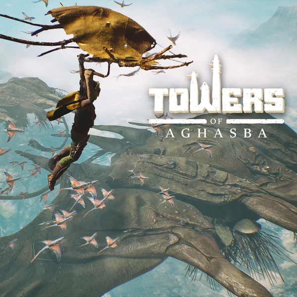 Towers of Aghasba