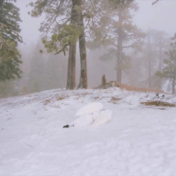 WISP - Pandora Clear Vinyl