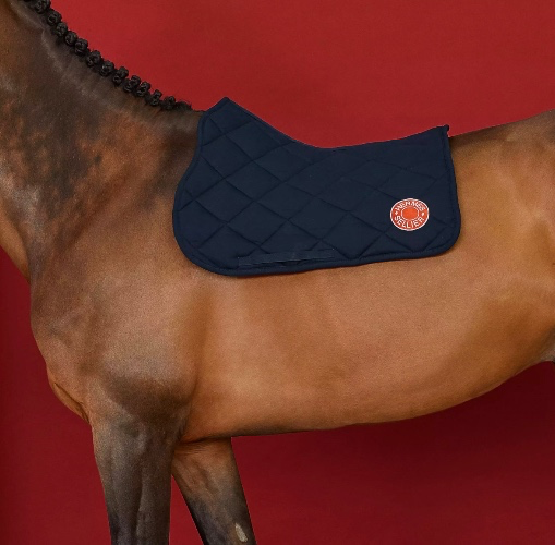 My horse has to look as pretty as I'am