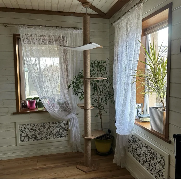 Cat Scratcher Reimbursement 