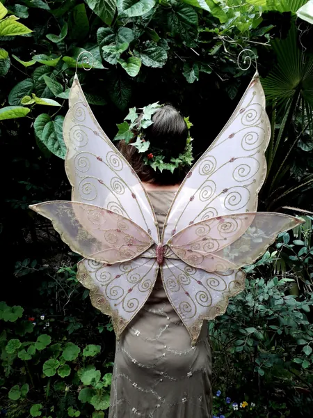 Fairy Wings