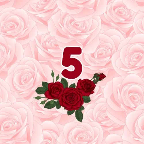 5 roses 🌹