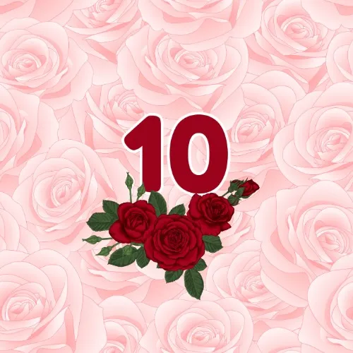 10 roses 🌹