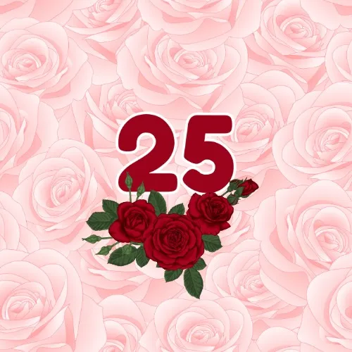 25 roses 🌹