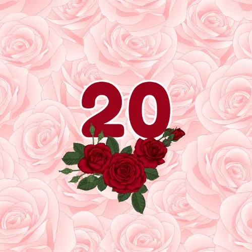 20 roses 🌹