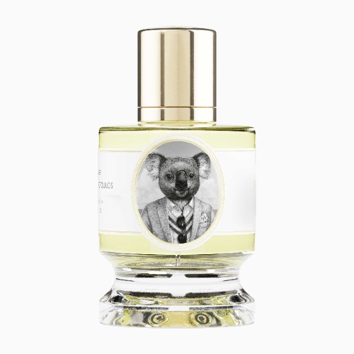 Zoologist Koala Deluxe Bottle | Default Title