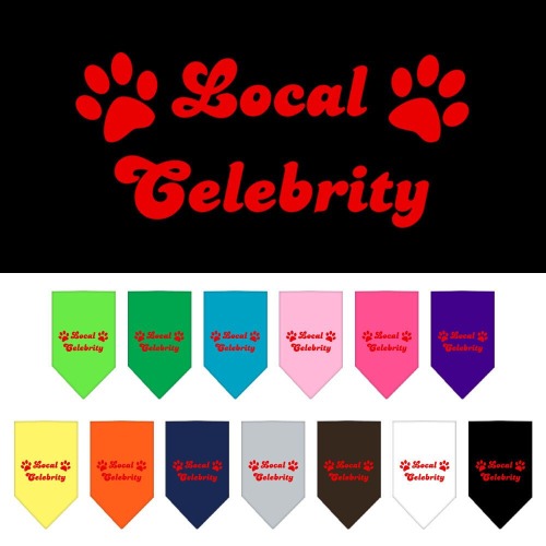 Pet and Dog Bandana Screen Printed, "Local Celebrity" - Turquoise / Large