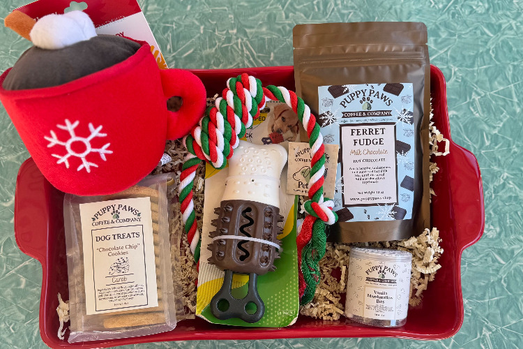 DOG - Paws for a Cause Box | Default Title