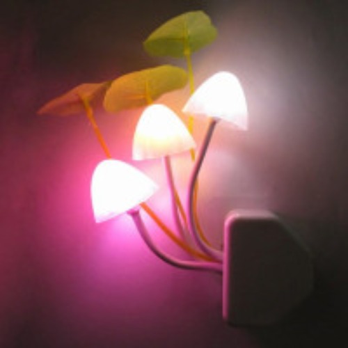Novelty Mushroom Fungus Night Light EU & US Plug Light Sensor 220V LED Colorful Mushroom Lamp Led Night Lights | Wish