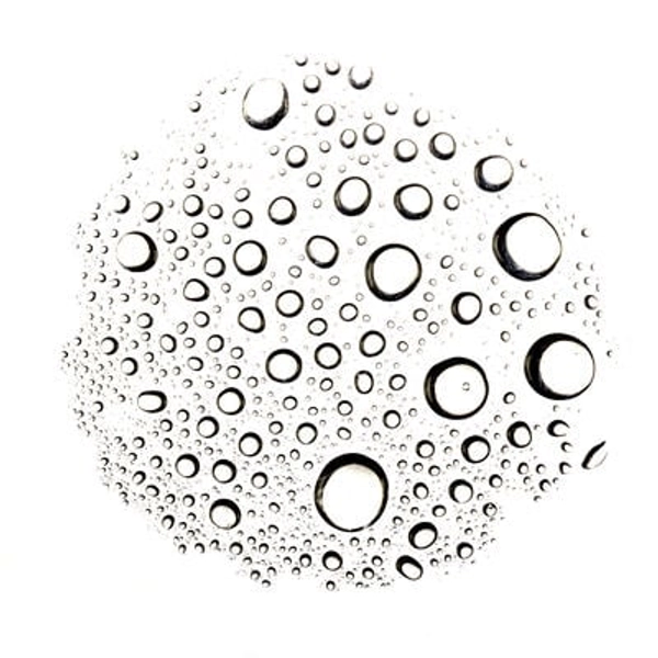 Tea Tree Water | Toners | Lush Cosmetics