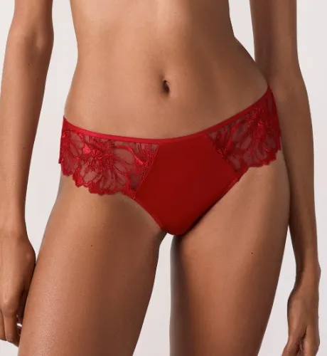 Hipsters en tulle brodé