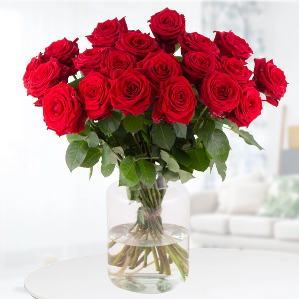 50 Rote Premium-Rosen Red Naomi (60cm)