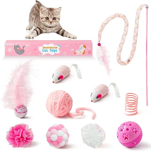MALLMALL6 10Pcs Cat Toy Set Interactive Cat Toys Pack Including Feather Teaser Wand Cat Springs Mice Crinkle Balls and Pet Bell Balls, Puzzle Toys for Indoor Cats Gift (Pink) - Pink Cat Toys