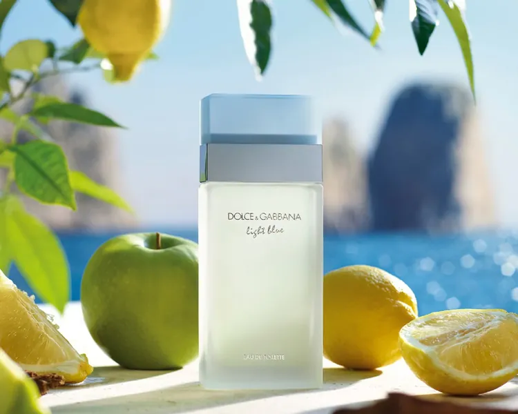 Dolce & Gabbana: Light Blue EDT Spray for Women, 6.7oz