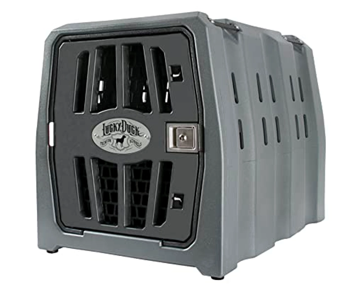 Lucky Dog Kennel Intermediate