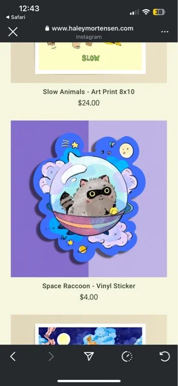 Space Raccoon - Vinyl Sticker — Haley Mortensen Illustration