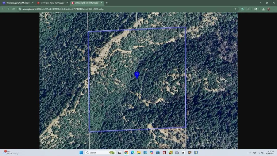 Property Ur Godess NEEDS