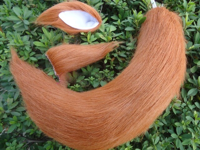 RaphtaliaTail