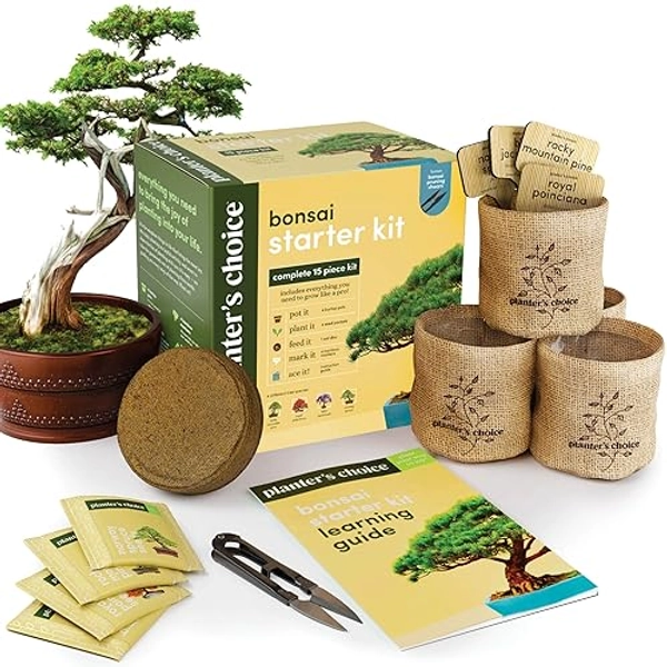 Bonsai Starter Kit - Gardening Easter Gift for Women & Men - Bonsai Tree Growing Garden Crafts Hobby Kits for Adults, Unique Hobbies for Plant Lovers - Unusual Christmas Gifts Ideas - Gardener Mother